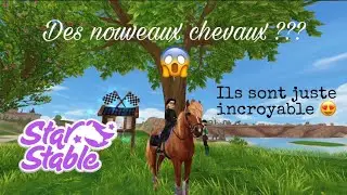 !Spoiler! Mon nouveaux cheval préfère !!!