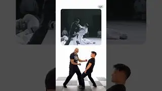 How Legit is Ip Man’s Chain Punch Finisher? 