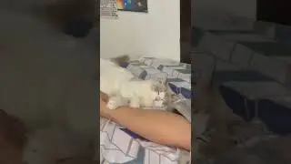 Coco sleep and my feet