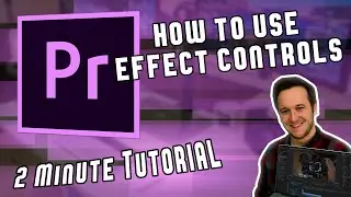 Scale, Position & Opacity | How to Use Effect Controls in Adobe Premiere Pro | Two Minute Tutorial
