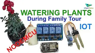 IOT - Watering Plants During Family Tour - NodeMCU
