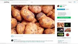 Créer un catalogue de produits