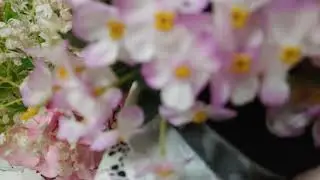 죽기전에는@내재산을물려준/아버지의최후/통일방송뉴스