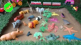 Rescuing Muddy Zoo and Sea Animals! 🦁🐠 Amazing Animal Facts and Fun Cleanup Adventure!"