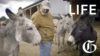 LIFE | This club cares for Cripple Creek's famous donkeys