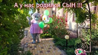 Семь лет Чудес 🤩🥳 Приключения маленького Человека👱‍♂️🫶 #унасродилсяребенок #выпискароддом #крещение