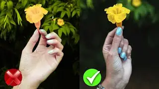 Como tirar fotos Melhores? 3 DICAS que Todo Fotógrafo Iniciante PRECISA saber!