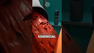COMO O MÚSCULO CRESCE? 