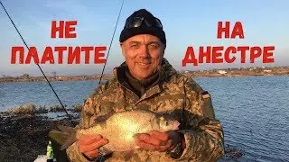 Не платите на Днестре / Рыбалка в конце ноября. Маяки.