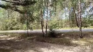 Выехали покушать чернику,  а заодно и пособирать))