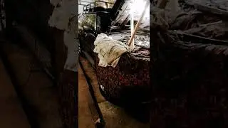 А у нас сегодня...