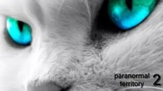 PARANORMAL TERRITORY 2! ОЧЕНЬ СТРАШНО!  ПОЛНОЕ ПРОХОЖДЕНИЕ!