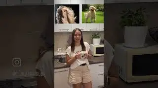Поймали меня на интервью с породами, но я не поддалась #кинолог #НемецкийБоксер#амстафф