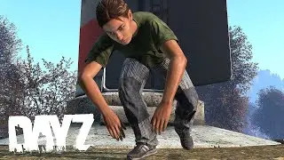 DayZ in a NUTSHELL - 2022