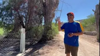 Las Bugambilias del Mezquital