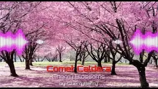 COMET CALDERA - Cherry Blossoms