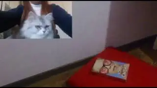Моё школьное утро!!!//Карина Жилова //