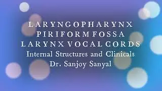 LARYNGOPHARYNX PIRIFORM Fossa LARYNX VOCAL CORDS Internal Structures Clinical Aspects– Sanjoy Sanyal