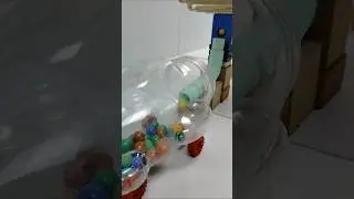 Marble Run Race ASMR - Wooden Wave Course Colorful Marbles #127 #marblerunrace #marblerunandmore