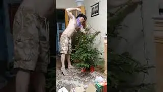 Муж наряжает ёлочку))