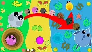 SEA.IO - FROM MICE TO FISH, AS ASGARD IS PUMPED IN THE GAME SEA IO