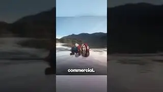 Nintendo Commercials are Wild