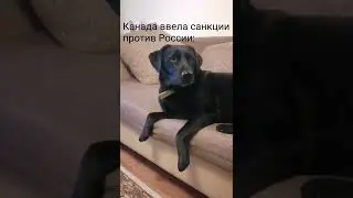 Канада ввела санкции против России: