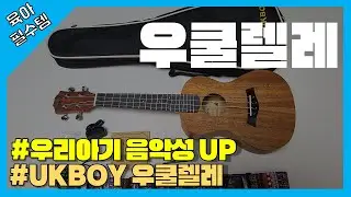 [광고] 천상의 소리 우쿨렐레로 아기 음악성 향상시키기!