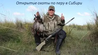 Opening of the 2023 feather HUNTING in SIBERIA. It was a glorious hunt!)