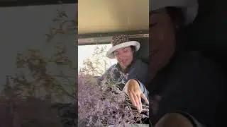 Цветы от егеря заповедника! #даритедевушкамцветы Познавательно и приятно
