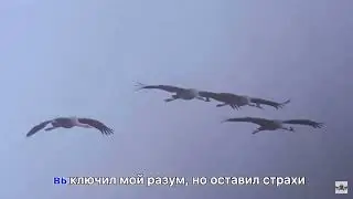 Янечка - ПМС