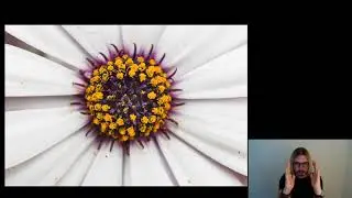 COME FOTOGRAFARE I FIORI?