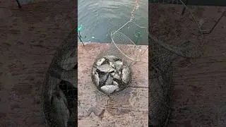 приятные моменты