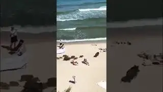 Семейный отдых в Сочи на пляже && только что с поезда и сразу на море..😂😂😂