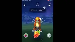 Entei raid p2
