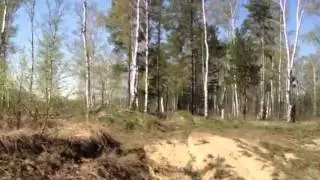 Каратын