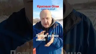 Летняя резина зимой.short #shorts