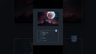 Image Zoom Hover Effect In HTML CSS 