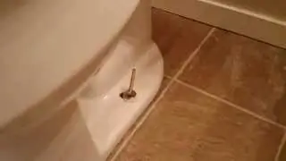 Toilet Not Attached to the Flange