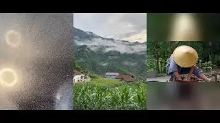 Fresh Weekend Rural Life little boy cook food 113