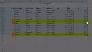 How to Remove Duplicate Data in Google Sheets