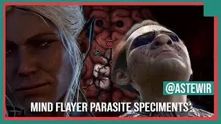Baldur's Gate 3 - All Mind Flayer Parasite Speciment Locations in the Nautiloid Crash Region |Act 1