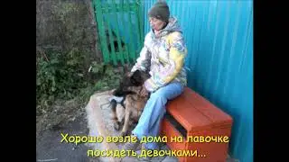 У Шелси началась взрослая жизнь