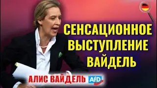 Германия на краю ПРОПАСТИ/Алис Вайдель: 