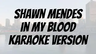 Shawn Mendes - In My Blood karaoke version