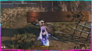 Genshin Impact Parallel Universe