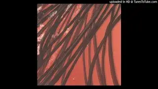 Recloose - up and up