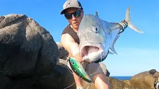 Morning Mayhem On The Rocks! Land based Trevally on Lures