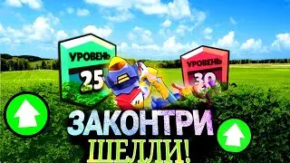 ЗАКОНТРИ Шелли в ШД | Гайд на МОРТИСА #2