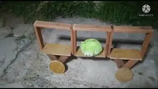 Bad Piggies In Real Life